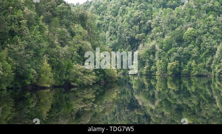 Forêt pluviale tempérée luxuriante sur une croisière sur la rivière Gordon en Tasmanie, Australie Banque D'Images