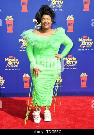 15 juin 2019 - Santa Monica, Californie, États-Unis - 15 juin 2019 - Santa Monica, Californie - Lizzo. 2019 MTC Movie and TV Awards organisés au Barker Hangar. Crédit photo : Birdie Thompson/AdMedia Banque D'Images