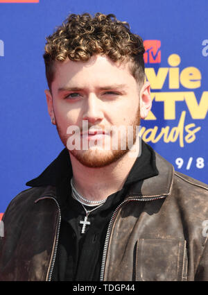 15 juin 2019 - Santa Monica, Californie, États-Unis - 15 juin 2019 - Santa Monica, Californie - Bazzi. 2019 MTC Movie and TV Awards organisés au Barker Hangar. Crédit photo : Birdie Thompson/AdMedia Banque D'Images