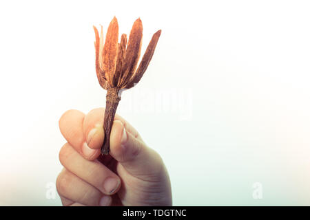 D'une autre feuille sèche de l'automne fois dans la main Banque D'Images