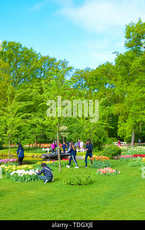 Keukenhof, Lisse, Pays-Bas - 28 Avril 2019 : les visiteurs de marcher dans des jardins de Keukenhof au printemps. Vert des arbres et de belles fleurs colorées, généralement des tulipes en Hollande. Tache de touristes néerlandais. Banque D'Images