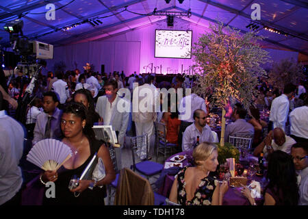 East Hampton, États-Unis. 19 juillet, 2008. Atmosphère à la 9e Annual ART POUR LA VIE D'East Hampton au gala-bénéfice Russell Simmons' East Hampton Estate. Crédit : Steve Mack/Alamy Banque D'Images