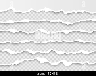 Bordure de papier déchiré horizontale. Arraché au carré blanc horizontal les bandes de papier. Vector illustration. Illustration de Vecteur