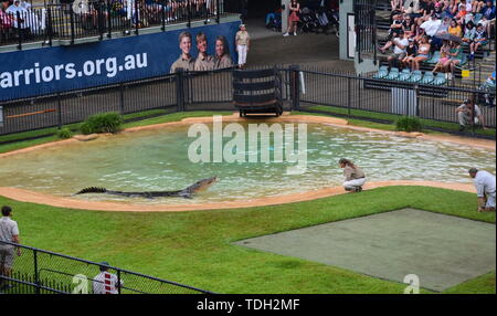 Terri Irwin Wife Of Crocodile Hunter Steve Irwin Her Daughter Bindi And Best Mate Wes Mannion R Attend A Memorial Service For Her Husband At Australia Zoo In Beerwah September 06