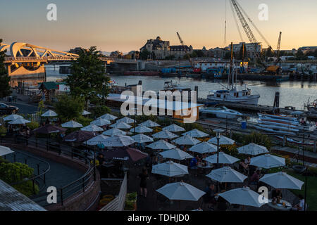 Victoria, île de Vancouver, Colombie-Britannique, Canada, juillet, 8, 2019 ; la recherche à travers les parapluies à l'extérieur de la Canoe Brew Pub à Victoria au coucher du soleil. Banque D'Images