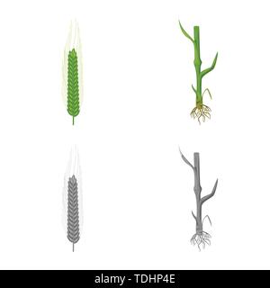 L'hiver,tige,root,printemps,sols,spike,dur,Culture,graines,cultiver un champ,vert,vélo,croissance,feuilles,meadow,rural,agriculture,agriculture,seigle,plantes,blé,maïs,grain,récolte,ferme,,champ,set,icône,,illustration,collection,isolé,design,graphisme,élément,signe, vecteurs vecteur , Illustration de Vecteur