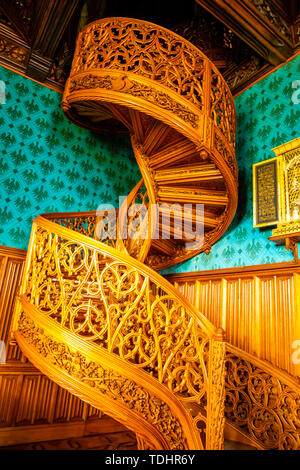 Lednice, République tchèque - 3.05.2019 : un escalier taillé dans un arbre à partir de y.1851, bibliothèque au château de Lednice, République Tchèque Banque D'Images