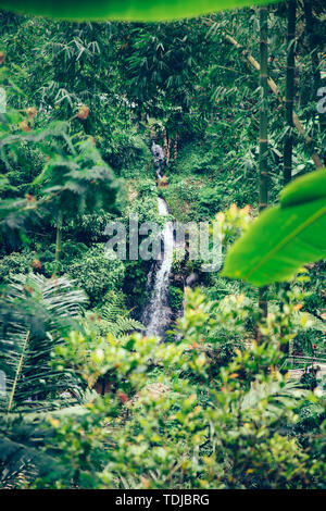 Voir à cascade de Gitgit sur l'île de Bali, Indonésie Banque D'Images