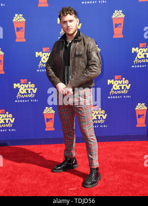 15 juin 2019 - Santa Monica, Californie, États-Unis - 15 juin 2019 - Santa Monica, Californie - Bazzi. 2019 MTV Movie and TV Awards organisé au Barker Hangar. Crédit photo : Birdie Thompson/AdMedia Banque D'Images