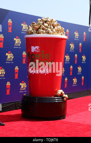 15 juin 2019 - Santa Monica, CA, USA - LOS ANGELES - jan 15 : Ambiance au 2019 MTV Movie & TV Awards au Barker Hanger le 15 juin 2019 à Santa Monica, CA (crédit Image : © Kay Blake/Zuma sur le fil) Banque D'Images