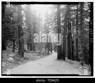 Vieux TIOGA ROAD VUE, PEUT MAINTENANT LAKE ROAD. À SW. Sig- N-37 49 16,8 30 13,3 - W-119 - Tioga Road, entre télévision et grue Tioga Pass, Yosemite Village, comté de Mariposa, CA Banque D'Images