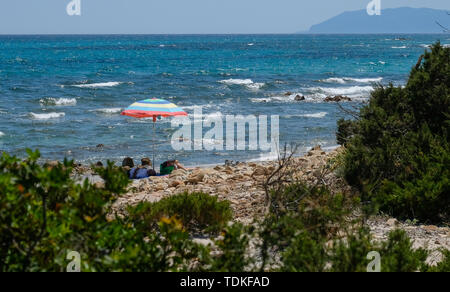 Nuoro, Italie. Le 05 juin, 2019. Un parasol sur une plage dans le Parc National di Bidderosa dans le golfe d'Orosei. Credit : Jens Kalaene Zentralbild-/dpa/ZB/dpa/Alamy Live News Banque D'Images