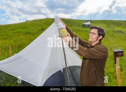 17 juin 2019, le Brandebourg, Strützkow : Tim Bornholdt, expert de la protection des espèces et la gestion du gibier dans le Parc National de la vallée de l'Oder, ressemble à un piège contenant avec une solution d'éthanol à un piège à insectes. Afin d'obtenir des données fiables et des faits sur la mortalité des insectes, il y a deux projets de recherche à l'échelle nationale. La partie inférieure du Parc National de la vallée de l'Oder est important pour les deux. Photo : Patrick Pleul/dpa-Zentralbild/dpa Banque D'Images