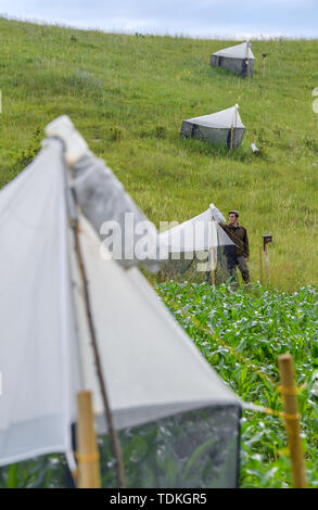 17 juin 2019, le Brandebourg, Strützkow : Tim Bornholdt, expert de la protection des espèces et la gestion du gibier dans le Parc National de la vallée de l'Oder, se situe à un insecte piège. Afin d'obtenir des données fiables et des faits sur la mortalité des insectes, il y a deux projets de recherche à l'échelle nationale. La partie inférieure du Parc National de la vallée de l'Oder est important pour les deux. Photo : Patrick Pleul/dpa-Zentralbild/dpa Banque D'Images