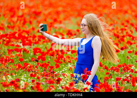 Jeune fille dans un champ de coquelicots, UK Banque D'Images