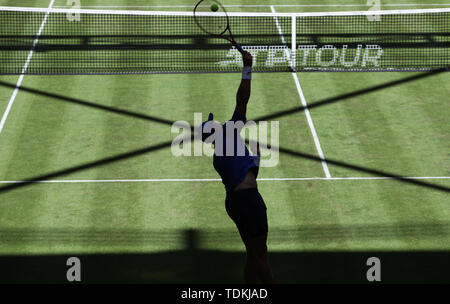 Halle, Allemagne. 17 Juin, 2019. Tennis : ATP-Tour des célibataires, des hommes, 1er tour, Johnson (USA) - Commentaires en (Allemagne). Steve Johnson sert. Credit : Friso Gentsch/dpa/Alamy Live News Banque D'Images