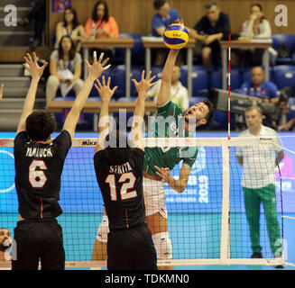 Varna, Bulgarie. 15 Juin, 2019. dans la bonne Rozalin PENCHEV (Bulgarie), .mens volley-ball Ligue des Nations Unies, 2019, semaine 3 tour préliminaire contre le Japon, la Bulgarie, Varna Bulgarie ./, Palais de la Culture et des Sports, le 15 juin 2019, .dans la semaine 3 dans la ronde préliminaire de la Ligue des nations de volley-ball hommes jouent les équipes nationales de la Bulgarie, le Japon, l'Italie et l'Australie à Sofia à la mer Noire, de crédit : Wolfgang Fehrmann/ZUMA/Alamy Fil Live News Banque D'Images
