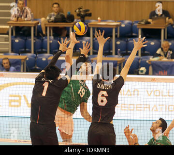 Varna, Bulgarie. 15 Juin, 2019. au Tsvetam SOKOLOV (Bulgarie), .mens volley-ball Ligue des Nations Unies, 2019, semaine 3 tour préliminaire contre le Japon, la Bulgarie, Varna Bulgarie ./, Palais de la Culture et des Sports, le 15 juin 2019, .dans la semaine 3 dans la ronde préliminaire de la Ligue des nations de volley-ball hommes jouent les équipes nationales de la Bulgarie, le Japon, l'Italie et l'Australie à Sofia à la mer Noire, de crédit : Wolfgang Fehrmann/ZUMA/Alamy Fil Live News Banque D'Images