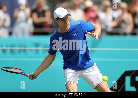 Londres, Royaume-Uni. 17 Juin, 2019. Andy Murray (GBR) lors d'une session pratique précoce au cours de la Fever Tree Tennis Championships au Queen's Club, West Kensington le lundi 17 juin 2019. (Crédit : Jon Bromley | MI News) Credit : MI News & Sport /Alamy Live News Banque D'Images