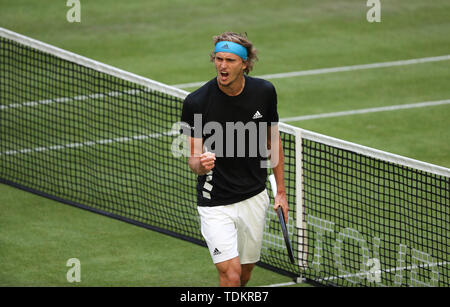 Halle, Allemagne. 17 Juin, 2019. Tennis : ATP-Tour des célibataires, des hommes, 1er tour, Haase (Pays-Bas) - Zverev (Allemagne). Alexander Zverev serre son poing. Credit : Friso Gentsch/dpa/Alamy Live News Banque D'Images