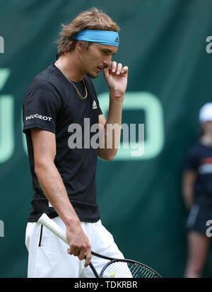 Halle, Allemagne. 17 Juin, 2019. Tennis : ATP-Tour des célibataires, des hommes, 1er tour, Haase (Pays-Bas) - Zverev (Allemagne). Alexander Zverev attrape son nez. Credit : Friso Gentsch/dpa/Alamy Live News Banque D'Images