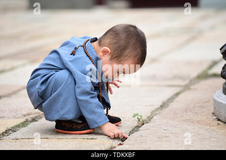 Cute little monk, aire de la photographie. Banque D'Images