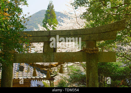 Sakitsu Suwa Shrine, Kumamoto Prefecture, Japan Banque D'Images