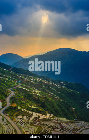 Le lever du soleil des terrasses dans le sud-est de la province du Guizhou, le soleil passe à travers les nuages et brille sur les terrasses. Banque D'Images