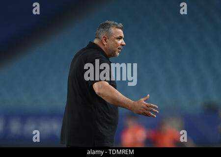 Cosmin Olaroiu entraîneur-chef de Jiangsu Suning réagit comme il regarde ses joueurs contre Pékin Renhe dans leur 13e match au cours de l'Association de football chinoise 2019 Super League (CSL) dans la ville de Nanjing, Jiangsu province de Chine orientale, le 16 juin 2019. Shanghai Suning défait Beijing Renhe 4-1. Banque D'Images