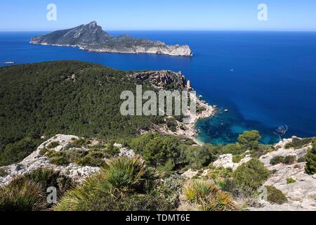 Vue de l'île Sa Dragonera et dragon de la côte près de Sant Elm, Majorque, Îles Baléares, Espagne Banque D'Images