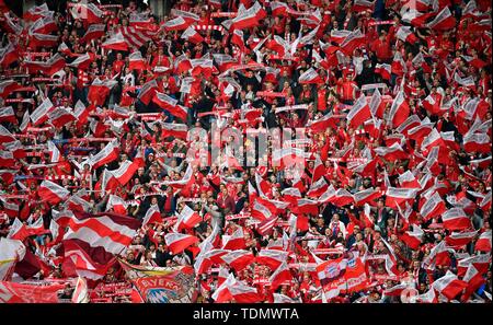 Bloc ventilateur FC Bayern Munich, 2019, la finale de la Coupe DFB, stade olympique, Berlin, Allemagne Banque D'Images