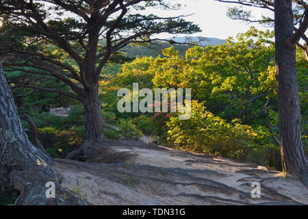 Beauté de la nature dans la région russe de Primorsky Banque D'Images