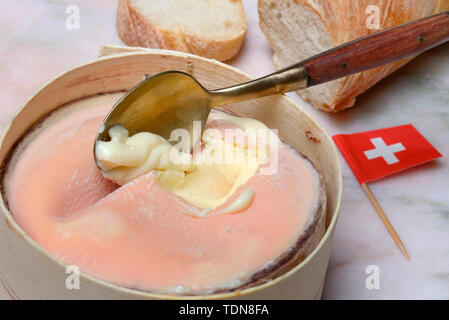 Vacherin Mont d'Or, Schweizer, Weichkaese Waadtlaender la Vallée de Joux, Jura, France, Europa Banque D'Images