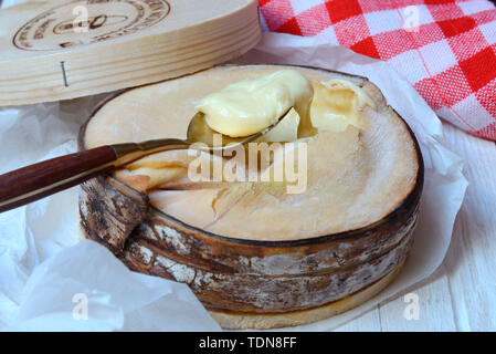 Vacherin Mont d'Or, Schweizer, Weichkaese Waadtlaender la Vallée de Joux, Jura, France, Europa Banque D'Images