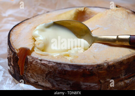 Vacherin Mont d'Or, Schweizer, Weichkaese Waadtlaender la Vallée de Joux, Jura, France, Europa Banque D'Images