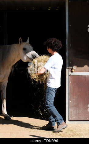 Foin d'alimentation, Woman feeding horse Banque D'Images