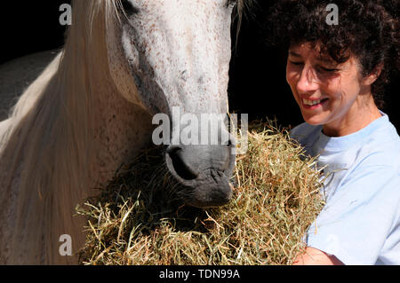 Foin d'alimentation, Woman feeding horse Banque D'Images