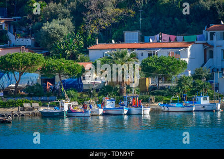 Fischerboote, Hafen, Ischia Porto, Insel Ischia, Italie Banque D'Images