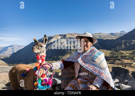 Femme Quechua avec un lama au canyon de Colca, Pérou, Amérique du Sud Banque D'Images