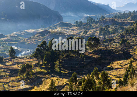 terrasses-agricoles-dans-la-vall-e-du-colca-vu-depuis-le-mirador