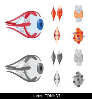 Muscle dorsal,oeil,os,sang,oeil,,organes,moelle,plasma,tendon cornée,tissu,os,ligament,cell,dommage,couches,structure,capot,system,meubles,don,vue,la douleur,la maladie,moelle,Protection,l'appareil locomoteur corps,mixte,biologie,scientifique,recherche,,laboratoire anatomie,organe interne,,médical,des,santé,,set,icône,,illustration,collection,isolé,design,graphisme,élément vecteur vecteurs,signer , Illustration de Vecteur