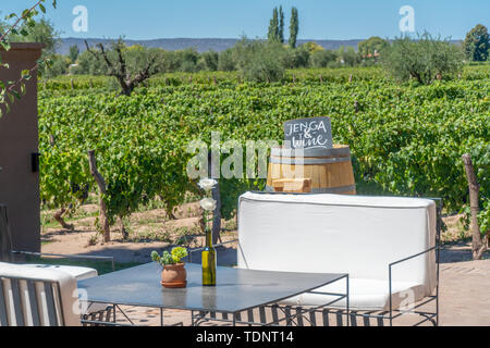 Set de table à l'extérieur à proximité des vignes Banque D'Images