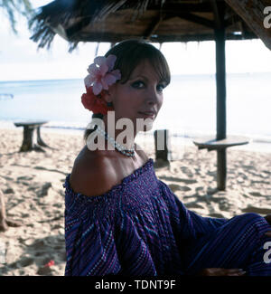 Porträt der deutschen, Fernsehmoderatorin Programmsprecherin, Schauspielerin und guinée Miss Monde, Petra Schürmann posierend am Strand mit Blumen im Haar, ca. 1978. Portrait de la télévision allemande, présentateur animateur du programme, actrice et ancienne Miss Monde Petra Schürmann posant sur la plage avec des fleurs dans les cheveux, ca. 1978. Banque D'Images