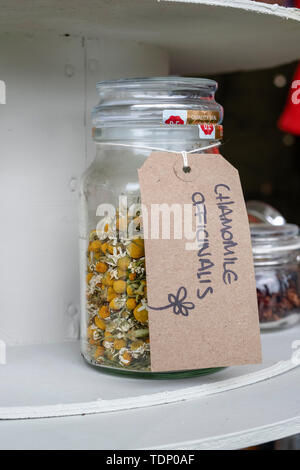 Fleurs de camomille séchées dans un bocal en verre à un flower show. UK Banque D'Images