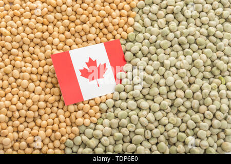 Drapeau du Canada avec des graines de soja séchées et des pois secs. Les producteurs canadiens ont rencontré des obstacles obstacles de biens agricoles entrée en Chine. Banque D'Images