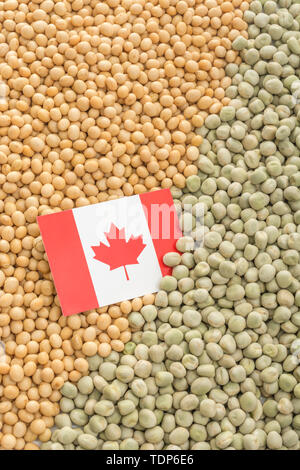 Drapeau du Canada avec des graines de soja séchées et des pois secs. Les producteurs canadiens ont rencontré des obstacles obstacles de biens agricoles entrée en Chine. Banque D'Images