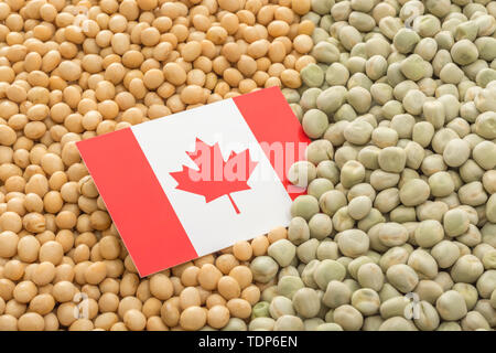 Drapeau du Canada avec des graines de soja séchées et des pois secs. Les producteurs canadiens ont rencontré des obstacles obstacles de biens agricoles entrée en Chine. Banque D'Images