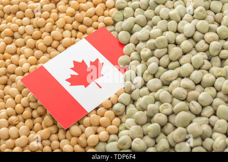 Drapeau du Canada avec des graines de soja séchées et des pois secs. Les producteurs canadiens ont rencontré des obstacles obstacles de biens agricoles entrée en Chine. Banque D'Images