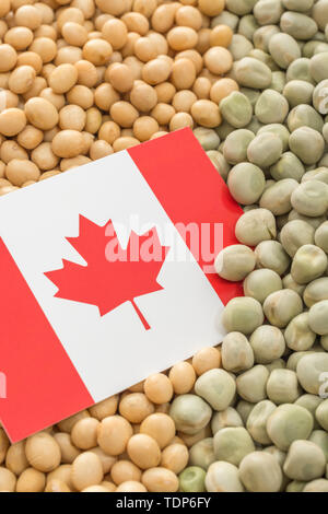 Drapeau du Canada avec des graines de soja séchées et des pois secs. Les producteurs canadiens ont rencontré des obstacles obstacles de biens agricoles entrée en Chine. Banque D'Images