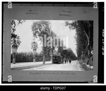 (Tirage original à la Riverside bibliothèque, collection d'histoire locale), photographe et date inconnus. Vue de la rue avec l'AVENUE MAGNOLIA ELECTRIC CAR - Projet d'enregistrement du patrimoine d'agrumes de Californie, Riverside, Riverside County, CA Banque D'Images